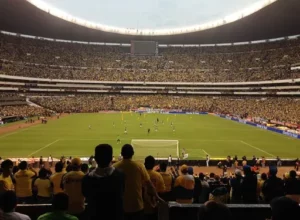 哥伦甲第期,专家质合分,析推荐,爱游戏app,爱游戏官网,爱游戏体育官网,爱游戏体育app