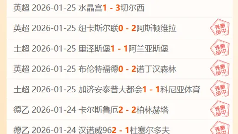 《芒特热切展望伯恩茅斯对决，夜赛难得，欧战缺席更显珍贵激情》